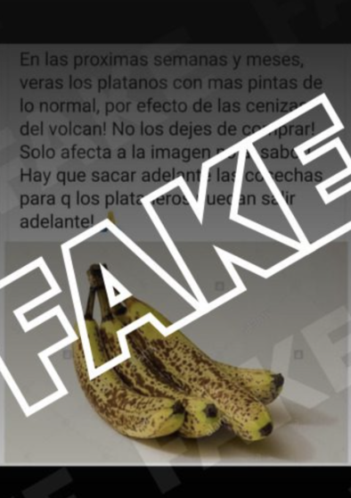 fake platanos