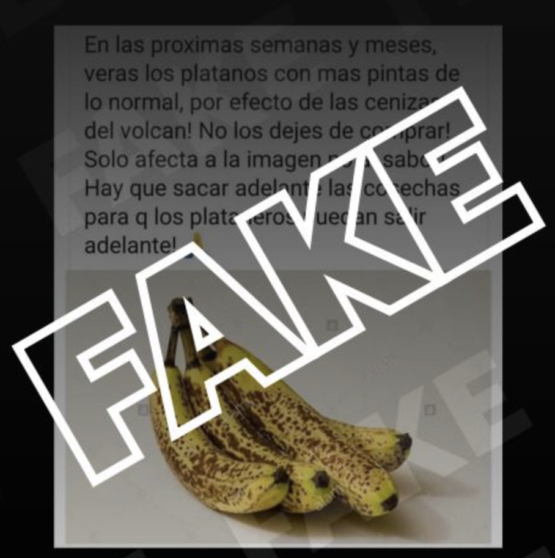 fake platanos