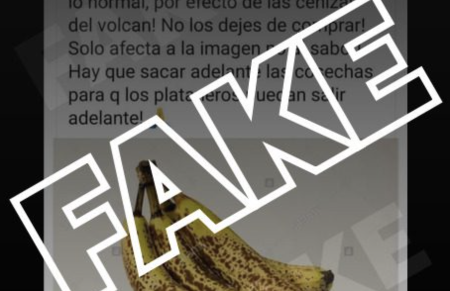 fake platanos