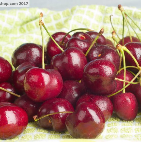 Cerezas del Valle del Jerte