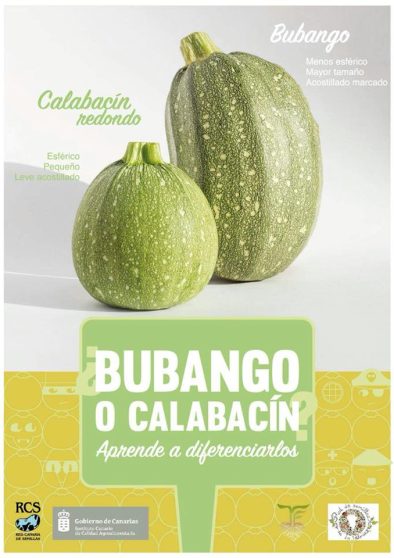 bubangocalabacin