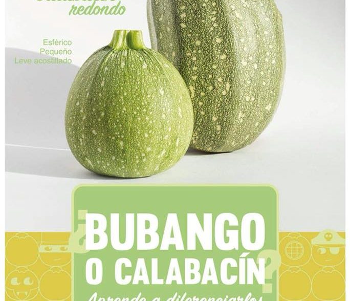 bubangocalabacin