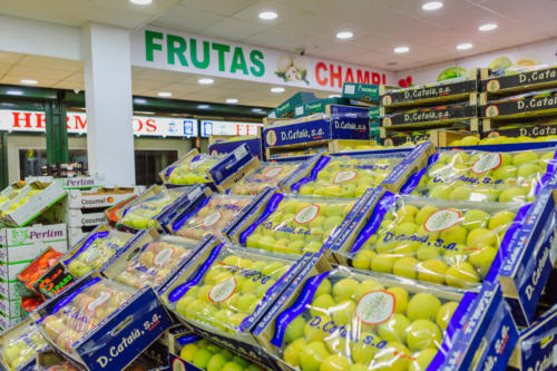 FRUTAS CHAMPI INSTALACIONES [WEB]-51